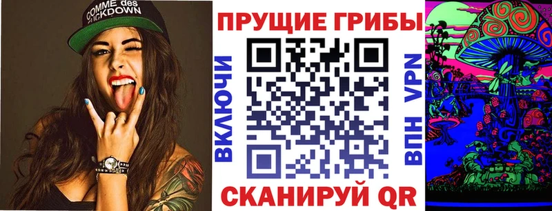 где продают наркотики Алатырь Псилоцибиновые грибы GOLDEN TEACHER