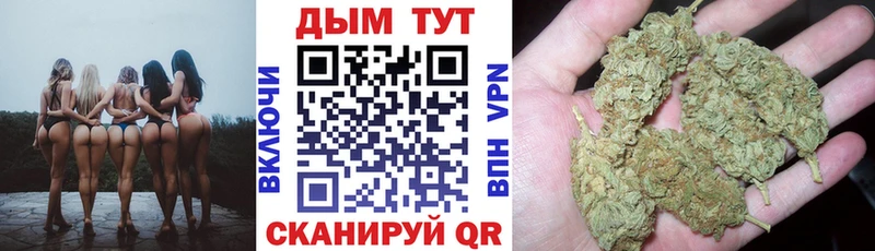 Конопля гибрид Алатырь